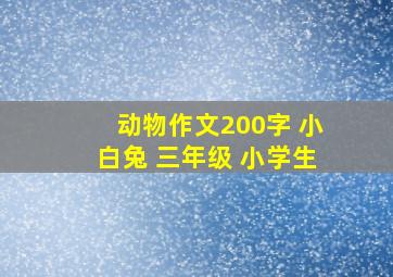 动物作文200字 小白兔 三年级 小学生